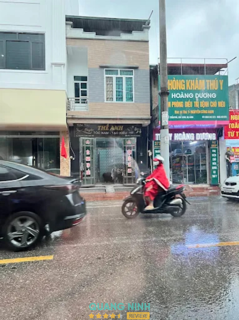 Thú y Hoàng Dương – hình ảnh 2
