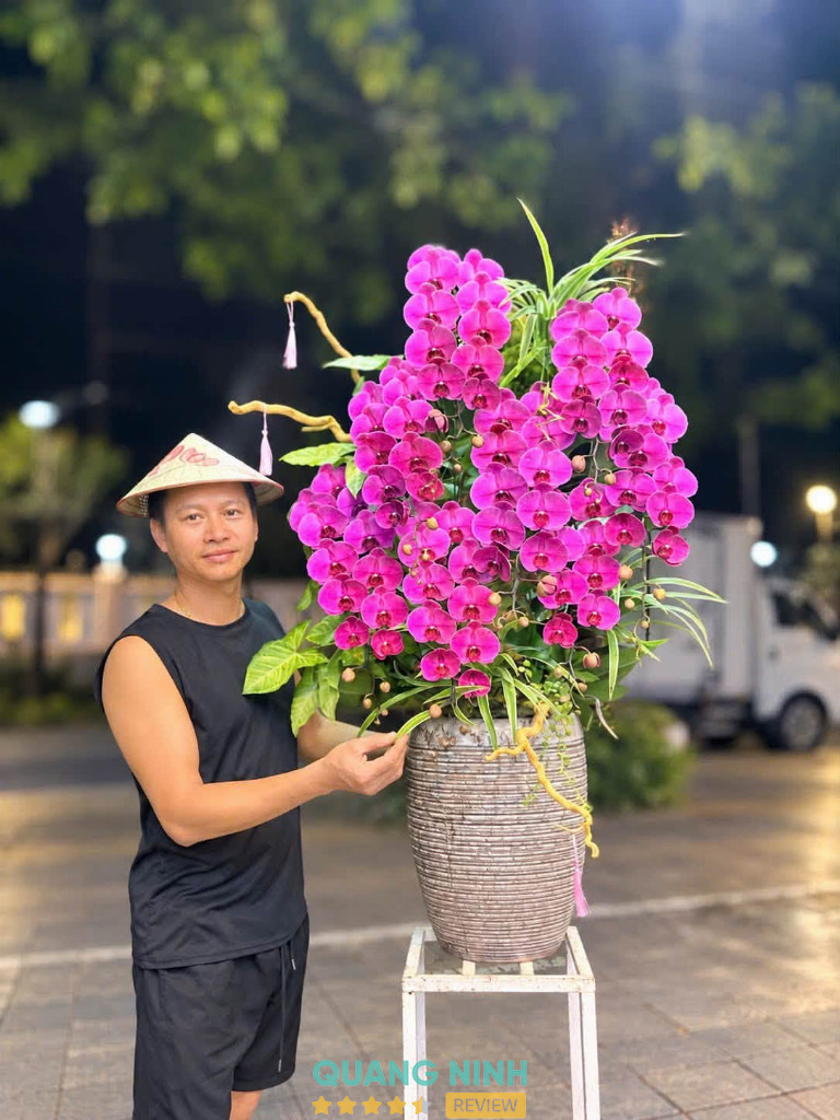 Hoa Tươi Lan Hương tại 238 Trần Phú Cẩm Phả