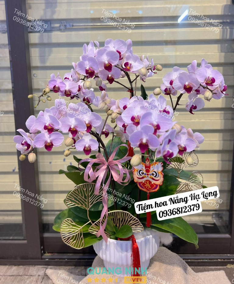 Tiệm hoa Nắng Hạ Long - hình ảnh thực tế 2