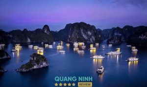 VietGo Travels ra mắt các tour Vịnh Hạ Long cao cấp